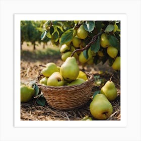 Pears In A Basket 4 Art Print