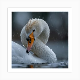 Swan In The Rain 1 Art Print