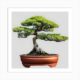 Bonsai Tree 4 Art Print