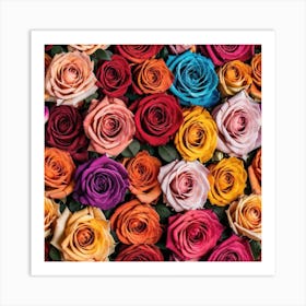 Colorful Roses 44 Art Print