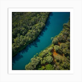 Brazilian Forest Art Print