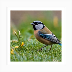 Blue Tit 81 Art Print