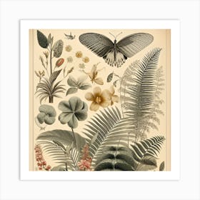 Botanical Print Art Print