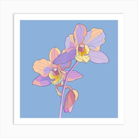 Orchids 17 Art Print