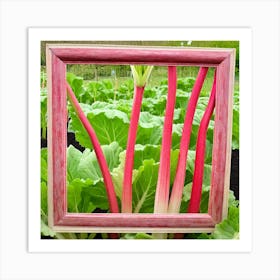 Rhubarb 74 Art Print