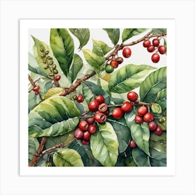 Coffee Berries 11 Art Print