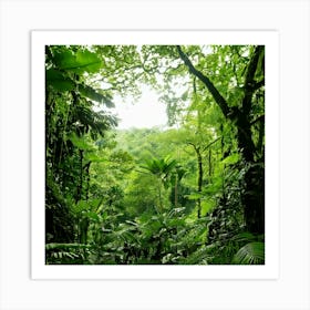 Firefly Rainforest Forest Background 8540 Art Print