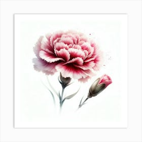 Carnation Flower 1 Art Print