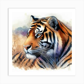 Tiger Watercolor Painting Art Print