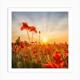 Poppies In Sunset Art Print