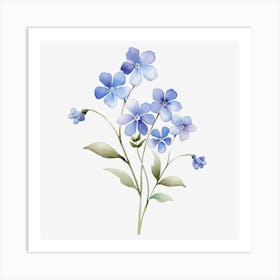 Forget Me Nots Art Print