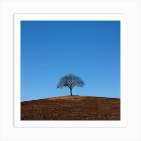 Lone Tree On A Hill Art Print