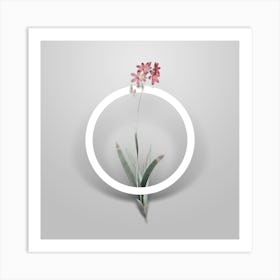 Vintage Corn Lily Minimalist Botanical Geometric Circle on Soft Gray n.0003 Art Print