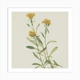 Yellow Sage Art Print