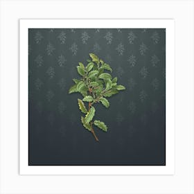 Vintage Evergreen Oak Botanical on Slate Gray Pattern n.0330 Art Print