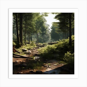 Forest Scene Art Print