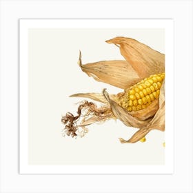 Corn On The Cob Art Print