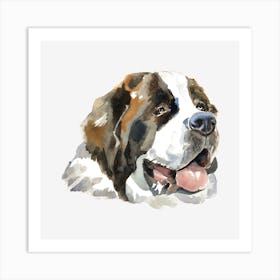 The St. Bernhardshund Art Print