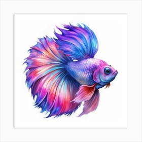 A Colorful Betta Fish With Long Flowing Fins Art Print