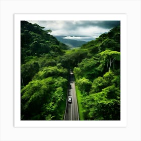 Tropical Treetop Pass Plant Foliage Trailer Texture Car Rural Season Green Pathway Aeria (4) Art Print