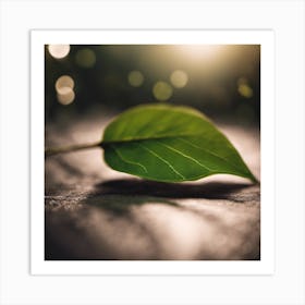 Leaf On The Ground Art Print