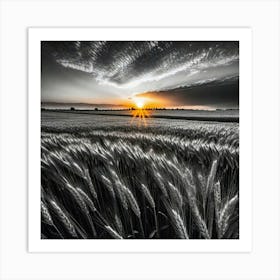 Sunset Over Wheat Field 2 Art Print