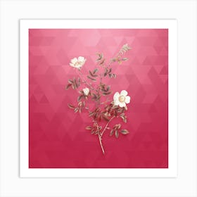 Vintage Pink Hedge Rose in Bloom Botanical in Gold on Viva Magenta n.0271 Art Print