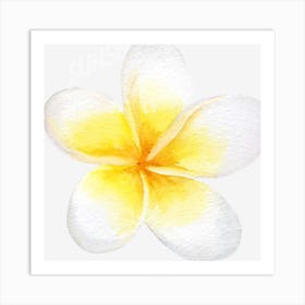 White flowers Art Print