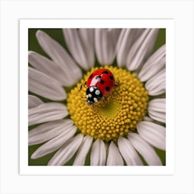 Ladybug On A Daisy 1 Art Print