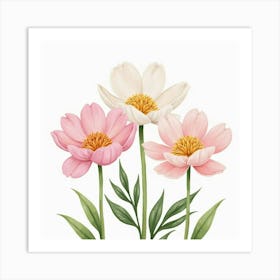 Watercolor Peonies Blooming In Soft Pastel Colors Art Print