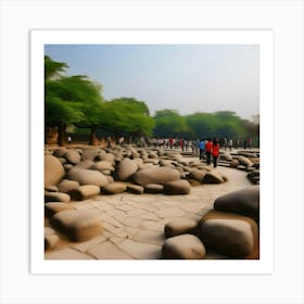 Rock garden Art Print