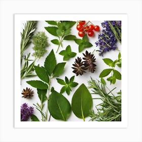 Fresh Herbs Art Print