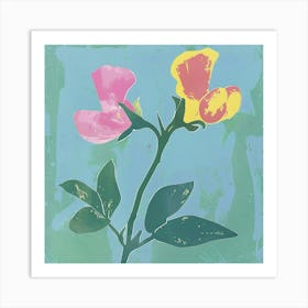 Sweet Pea 2 Square Flower Illustration Art Print