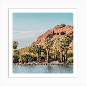 Phoenix Desert Park Art Print