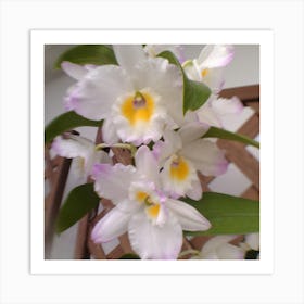 Orchids 5 Art Print