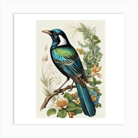 Tui Bird Art Print