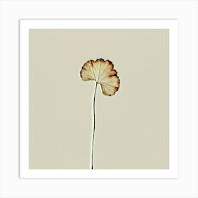 Ginkgo Leaf Art Print