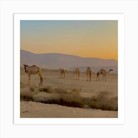 Camels in the desert Art Print