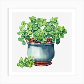 Thyme 2 Art Print