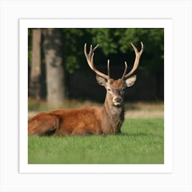 Red Deer - Red Deer Stock Videos & Royalty-Free Footage Art Print