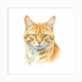 Mandarin Cat Portrait Art Print