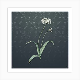 Vintage Spring Garlic Botanical on Slate Gray Pattern n.0092 Art Print