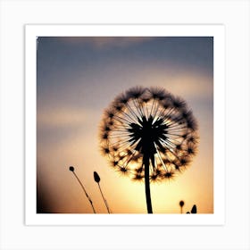 Sunset Dandelion 1 Art Print