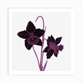 Purple Daffodils Art Print