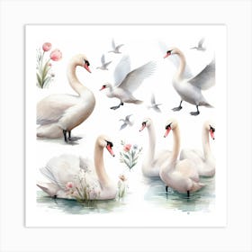 Swans 5 Art Print