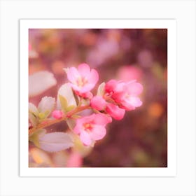 Dreamy Pink Flowers Art Print