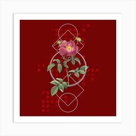 Vintage Stapelia Rose Bloom Botanical with Geometric Line Motif and Dot Pattern n.0281 Art Print