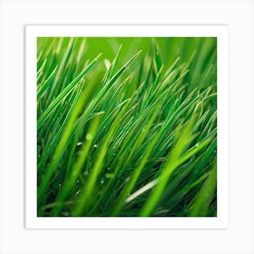 Close Up Of Green Grass 1 Art Print