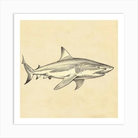 Largetooth Cookiecutter Shark Vintage Illustration 4 Art Print