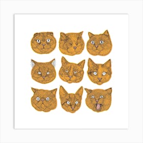 Orange Cat Faces Square Art Print